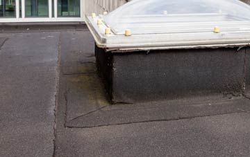 disadvantages of Hale Mills flat roofs